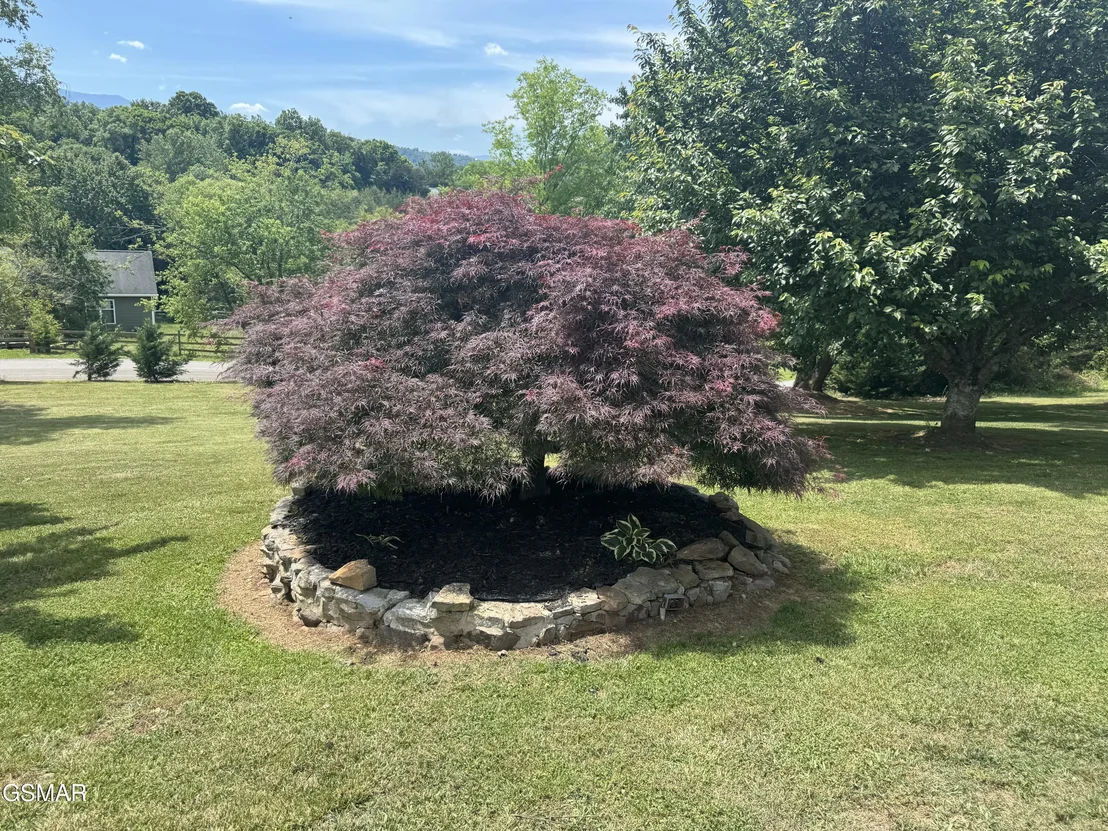 Photo of 1479 Wendron Moors Drive