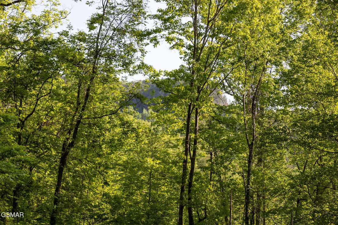 Photo of 1017/1035 Big Buck Trail
