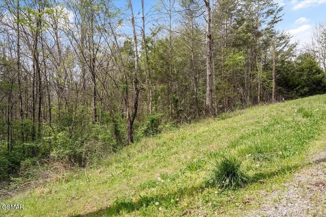 Photo of 1433 Timber Trail