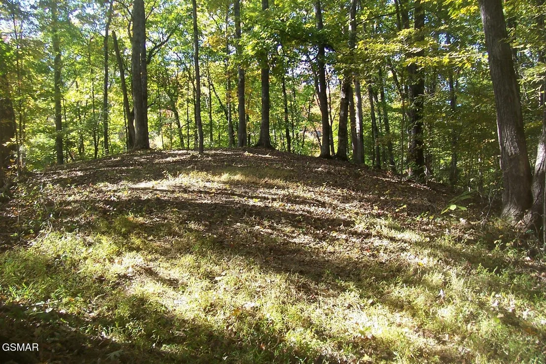 Photo of Tr 4 Veterans Blvd Boulevard