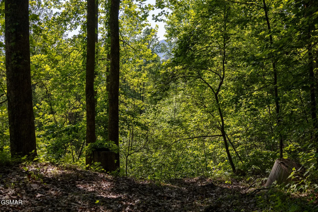 Photo of 1017/1035 Big Buck Trail