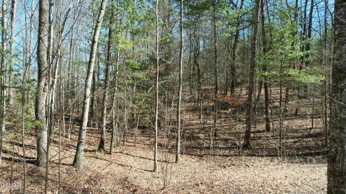 Photo of 442 Hawken Drive
