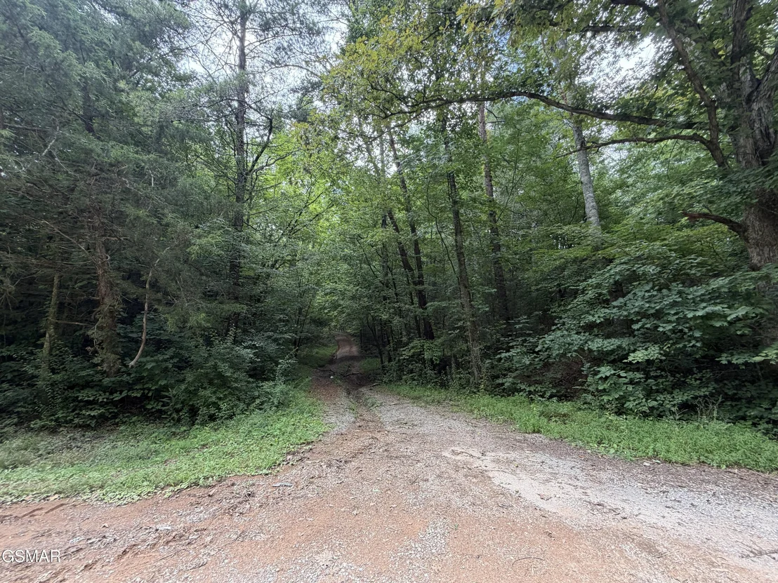 Photo of Lot 1-5 Forge Hideaway Road