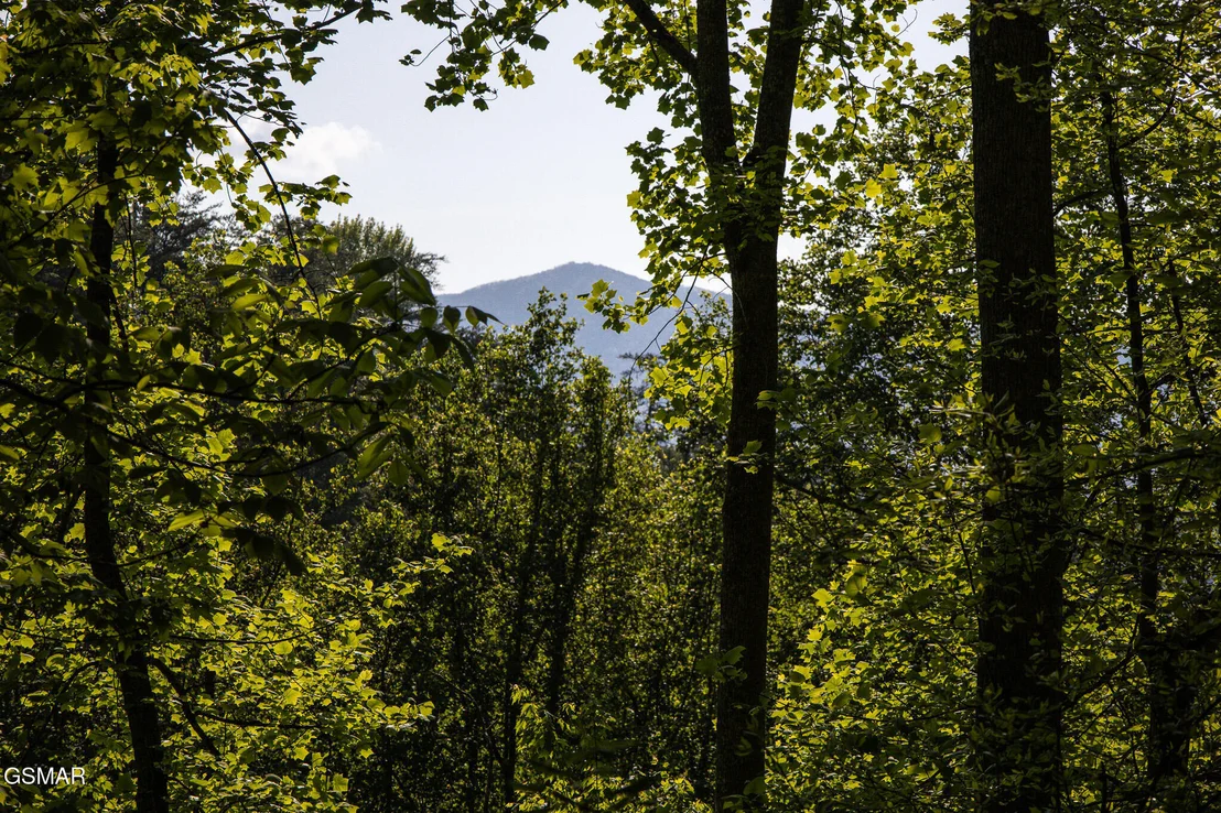 Photo of 1017/1035 Big Buck Trail