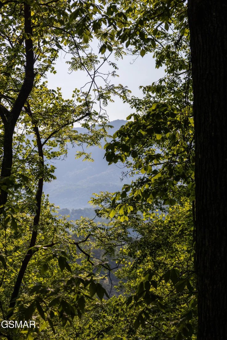 Photo of 1017/1035 Big Buck Trail