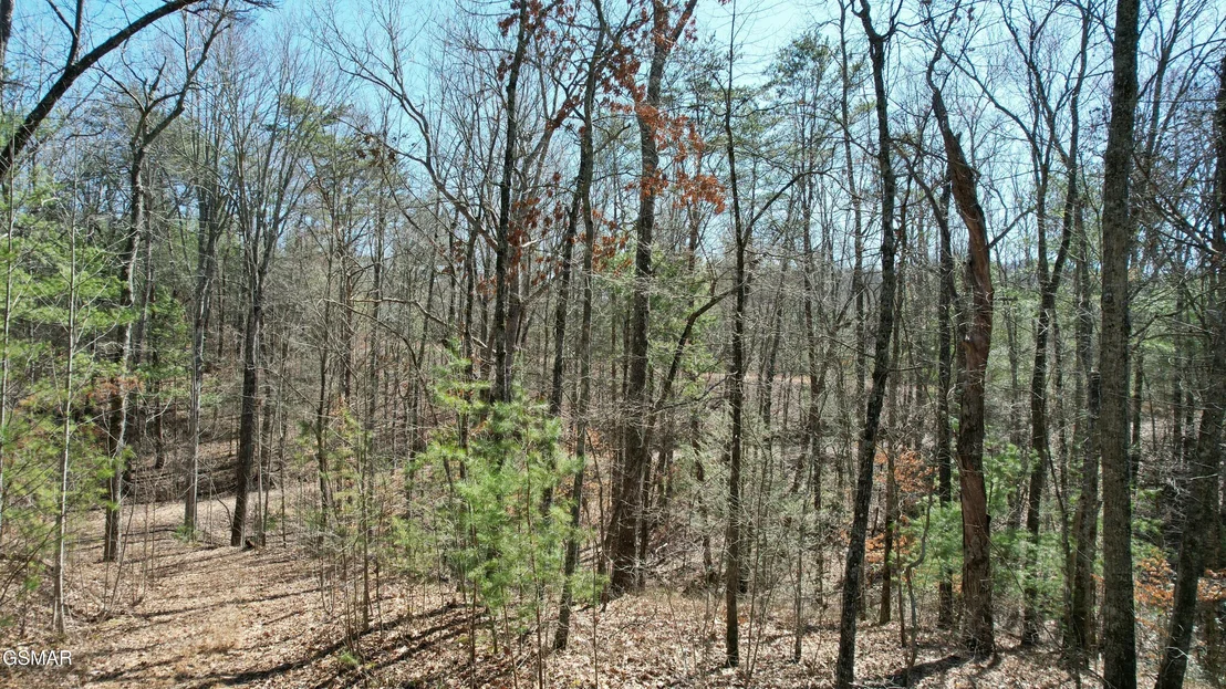 Photo of 442 Hawken Drive