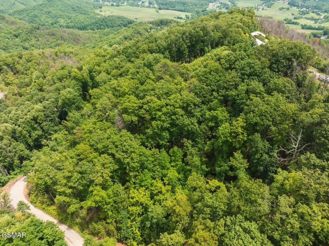 Photo of 2119 Spurling Road Road