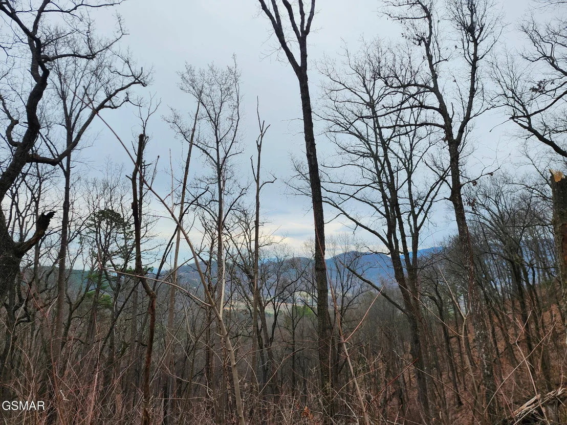 Photo of 2119 Spurling Road Road
