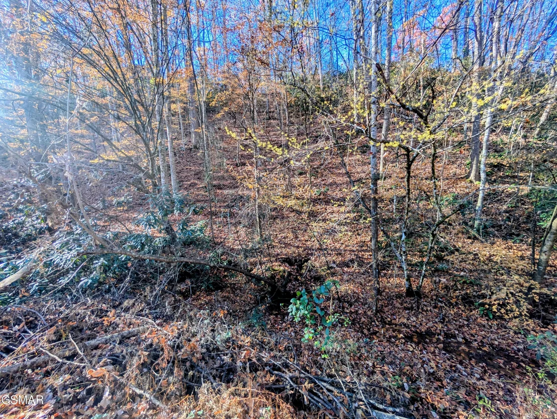 Photo of Lot 1908 Rose Pass