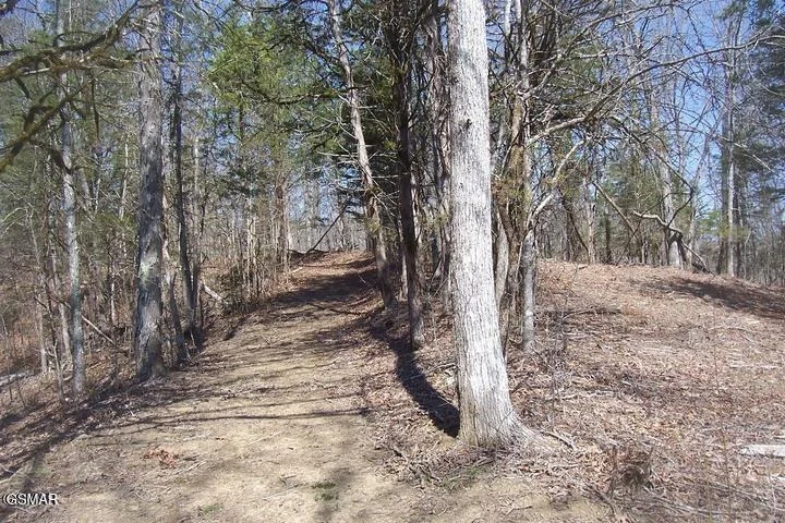 Photo of Lot 4 Flat Creek Rd
