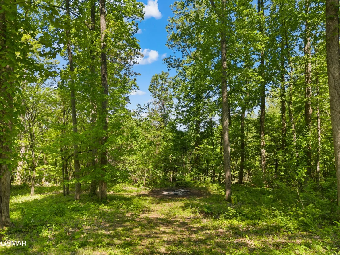 Photo of 874 Layman Drive