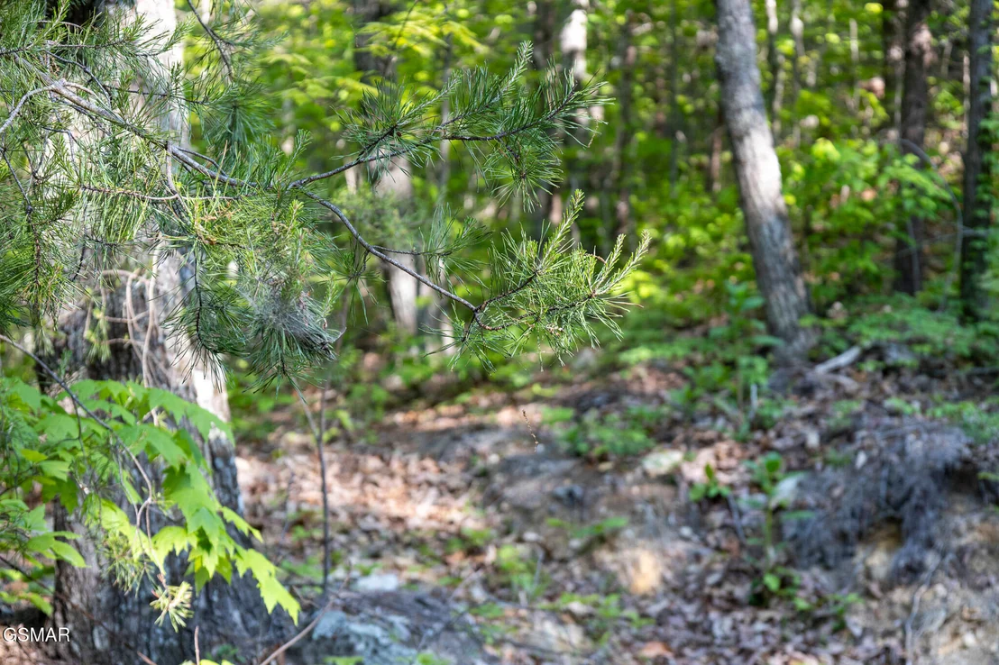 Photo of 1017/1035 Big Buck Trail