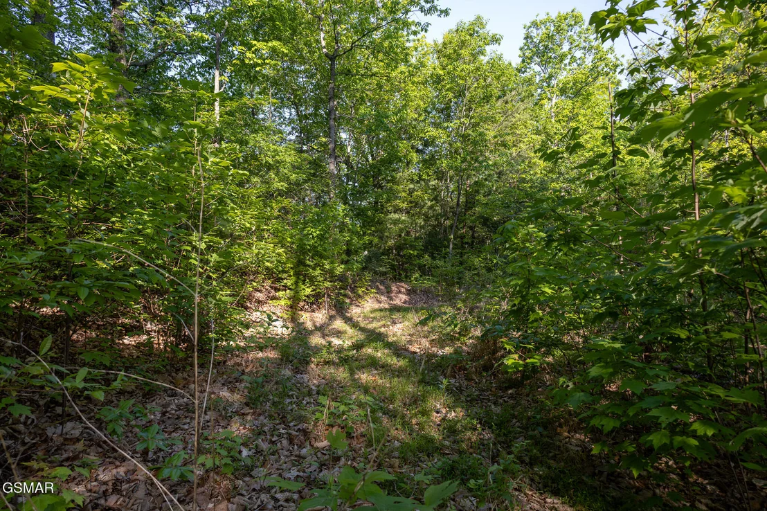 Photo of 1017/1035 Big Buck Trail