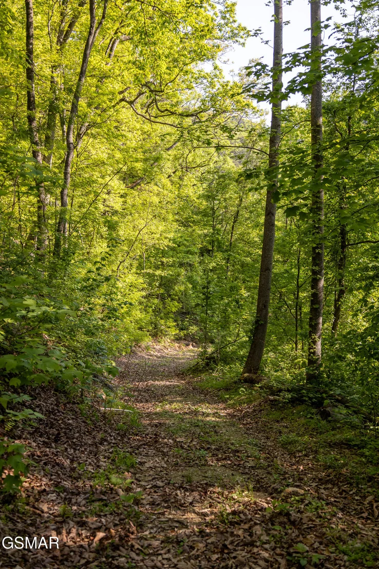 Photo of 1017/1035 Big Buck Trail