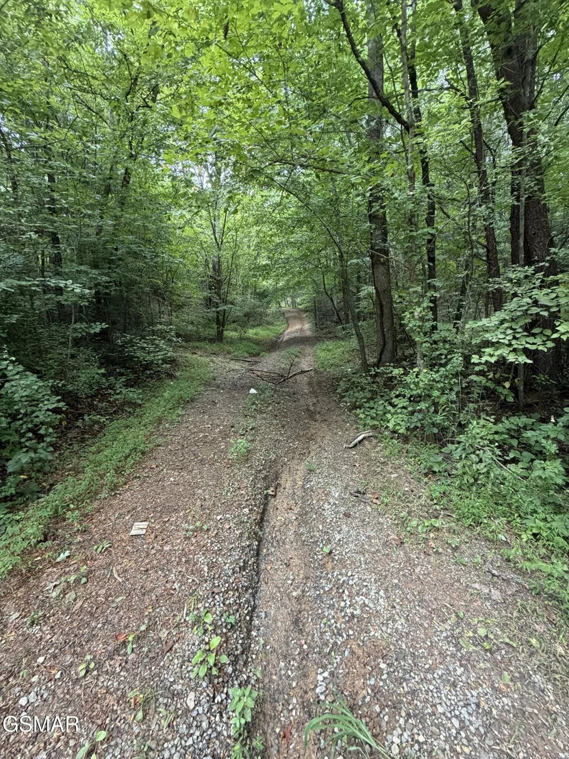 Photo of Lot 1-5 Forge Hideaway Road