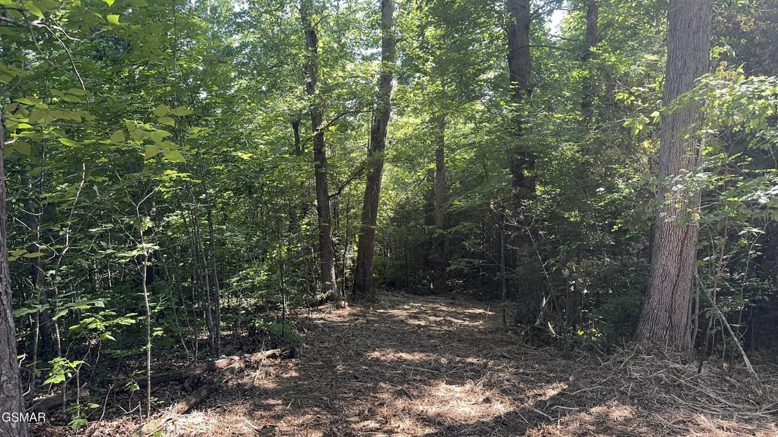 Photo of Lot 13 Rupert Drive
