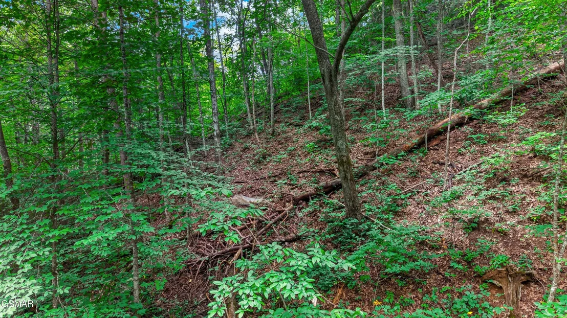Photo of Lot 10 Maple Hill Way