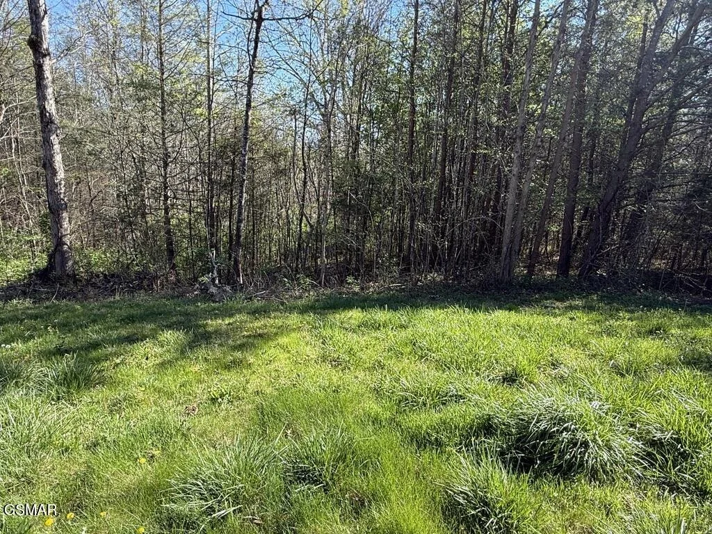 Photo of 1433 Timber Trail