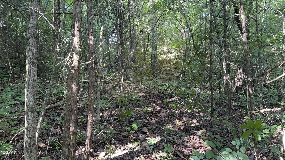 Photo of Lot 13 Rupert Drive