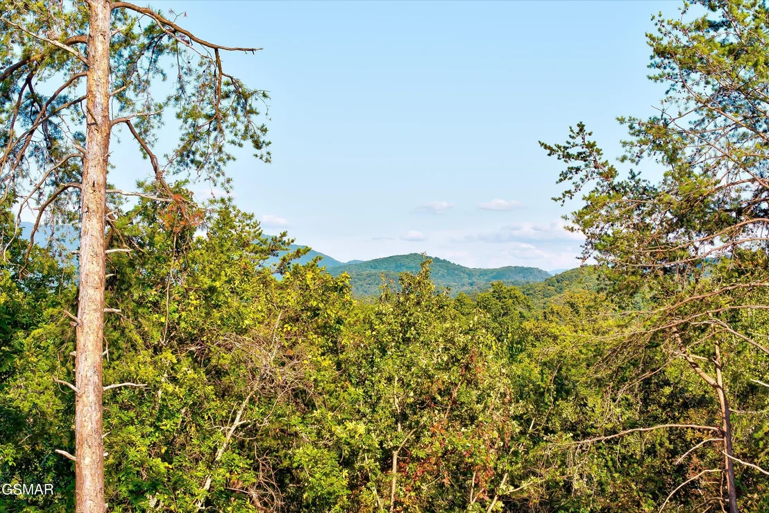 Photo of 2462 Dogwood Loop Drive