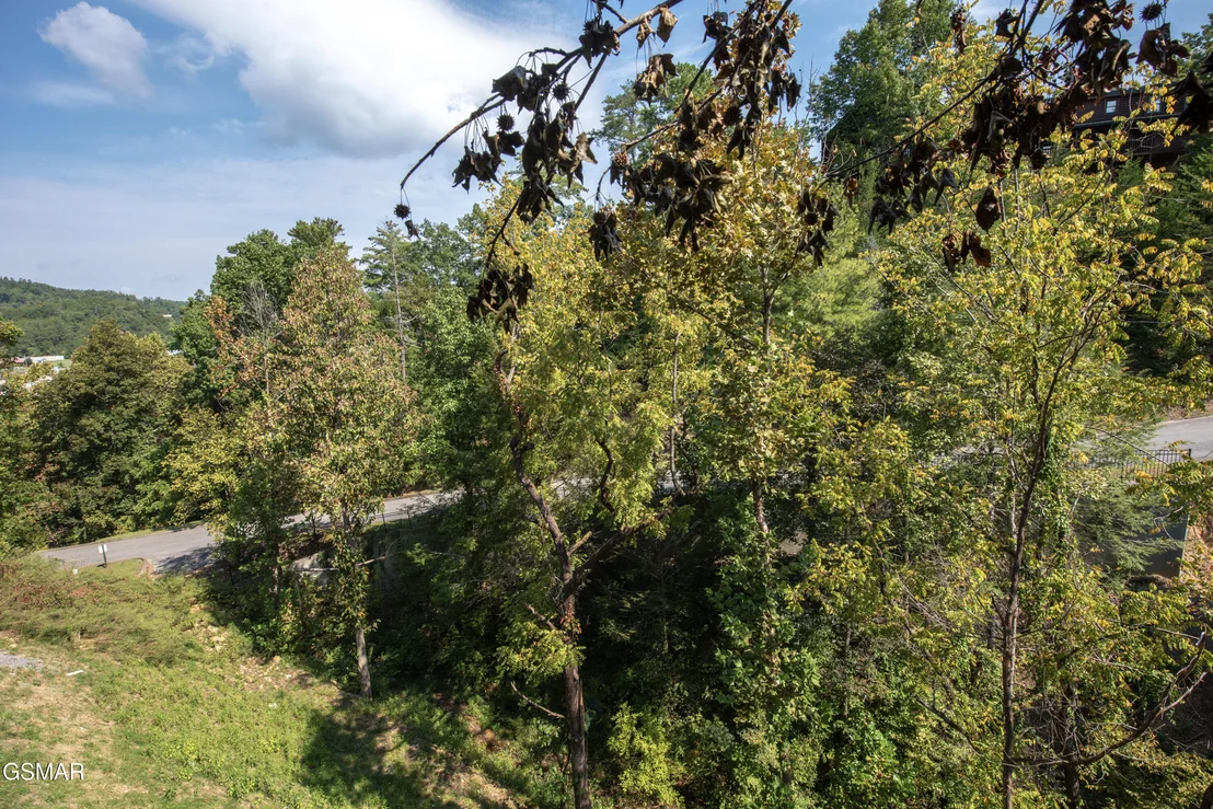Photo of 1717 Summit View Way