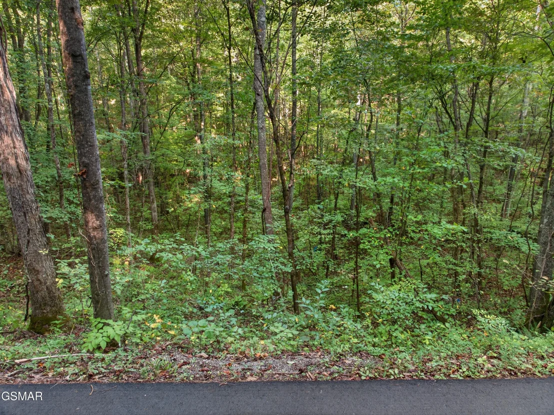 Photo of Lot 13-14 Speedwell Chuch Rd