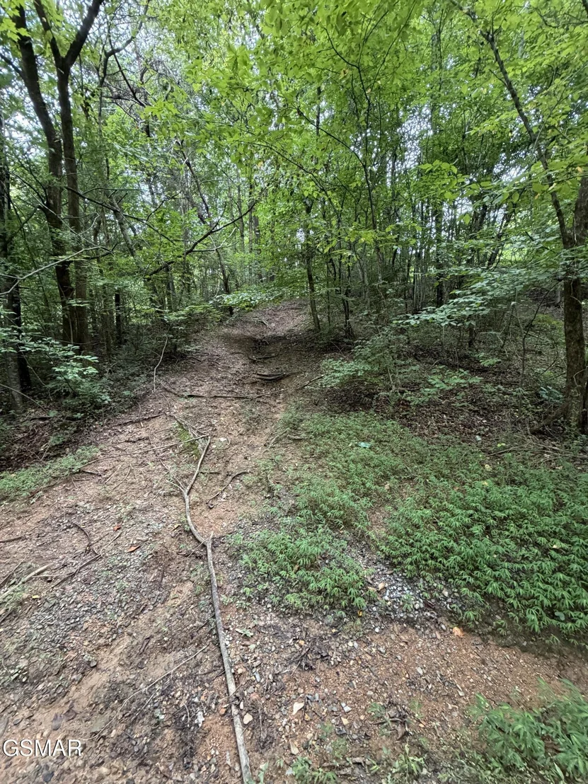 Photo of Lot 1-5 Forge Hideaway Road