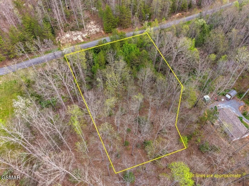 Photo of 1433 Timber Trail