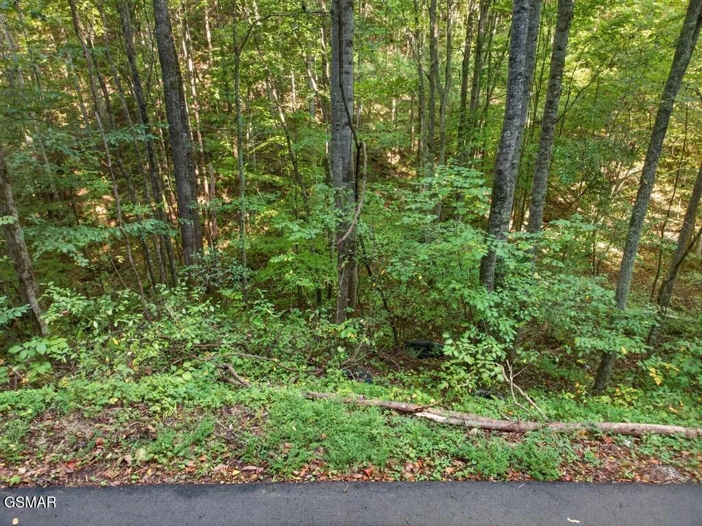 Photo of Lot 13-14 Speedwell Chuch Rd