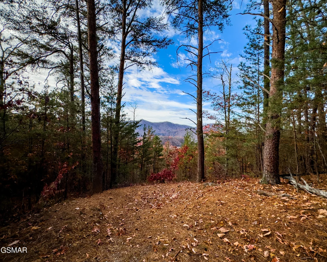 Photo of Lot 12-E Stackstone Road