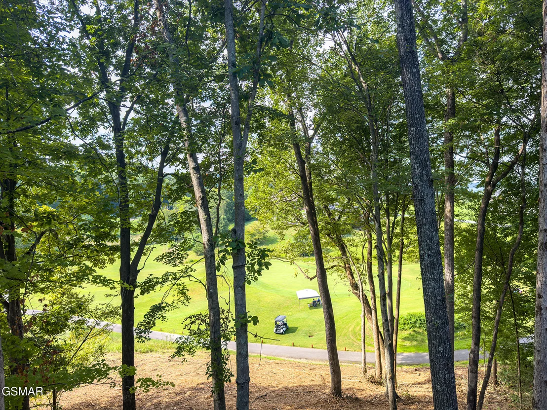 Photo of 330 Warbler Point