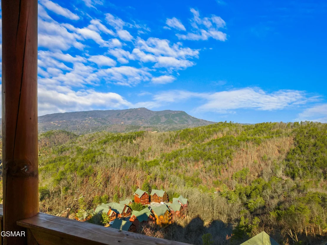Photo of 950 Black Bear Cub Way