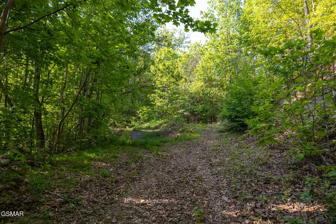 Photo of 1017/1035 Big Buck Trail