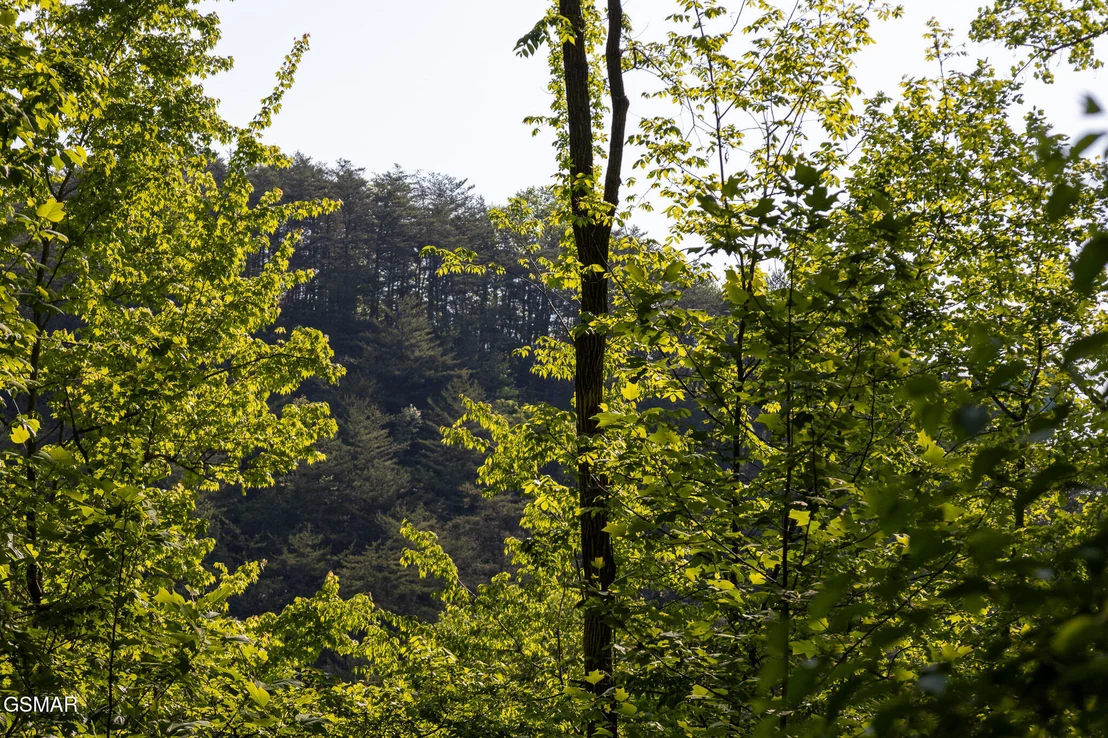 Photo of 1017/1035 Big Buck Trail