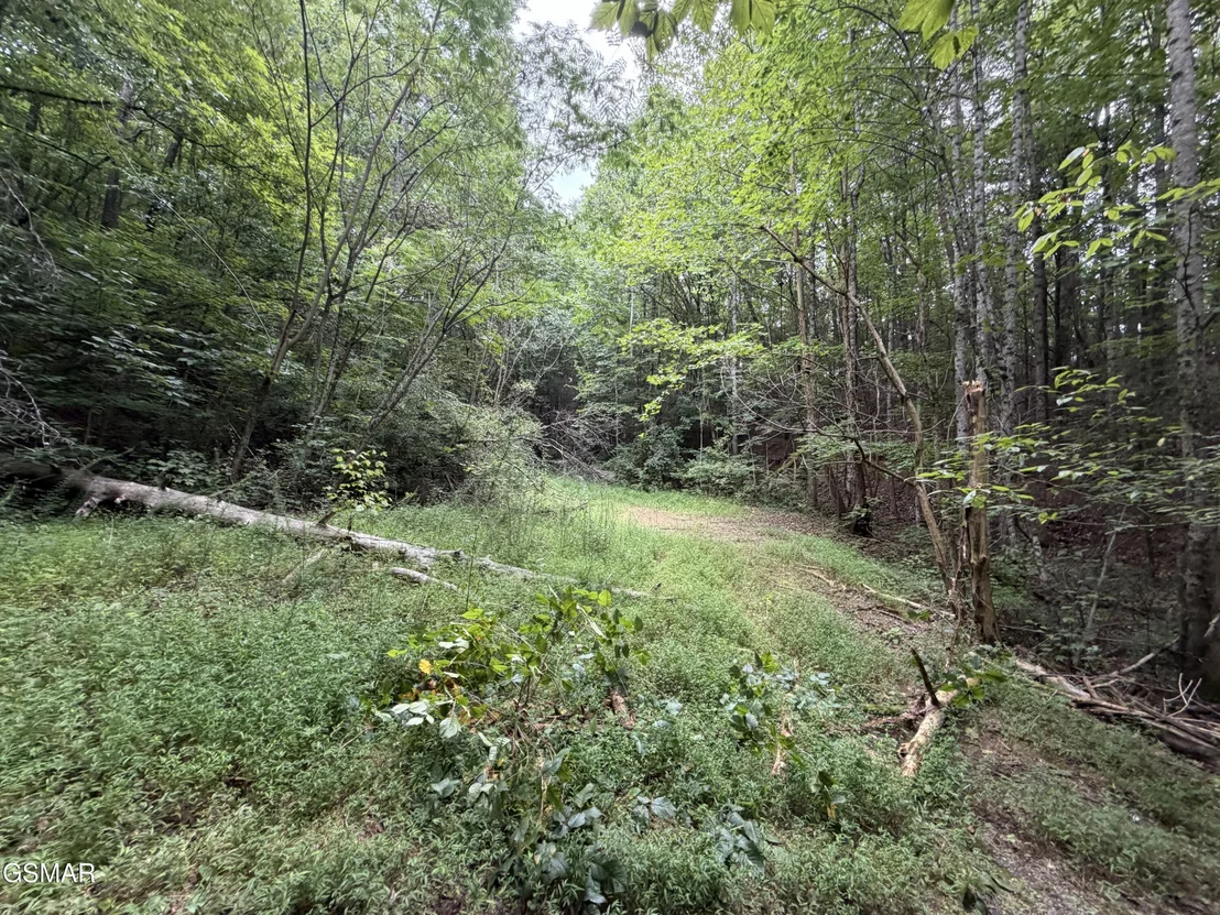 Photo of Lot 1-5 Forge Hideaway Road