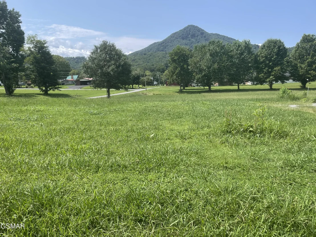 Photo of 3925 Katy Hollar Road