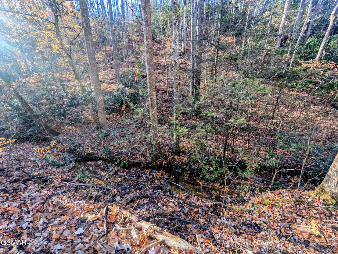 Photo of Lot 1908 Rose Pass
