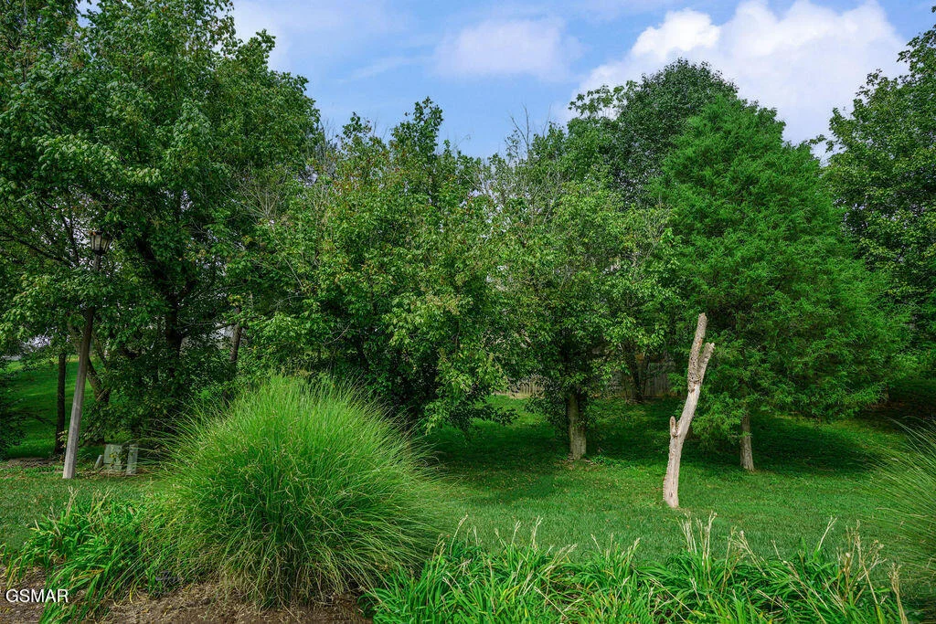 Photo of 1202 Foxwood Drive