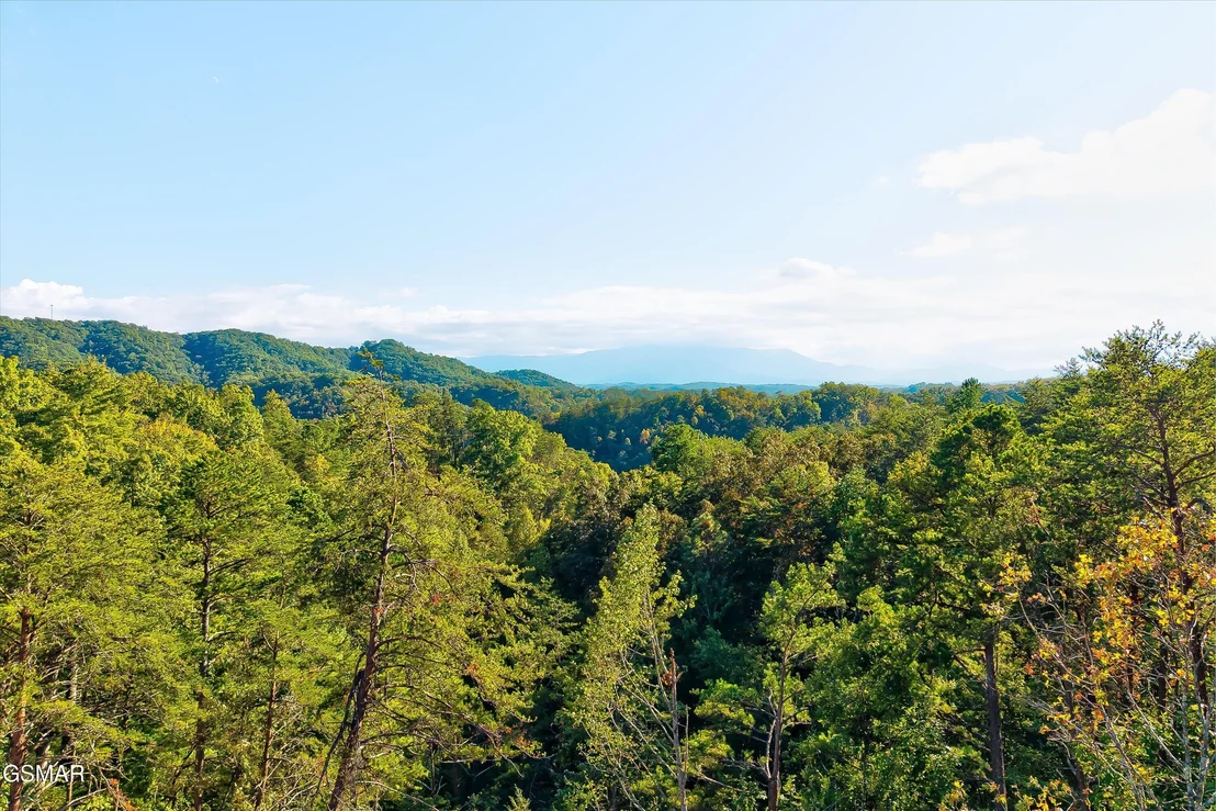 Photo of 2462 Dogwood Loop Drive