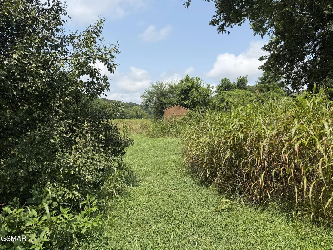 Photo of 245 Cherokee Explosive Road