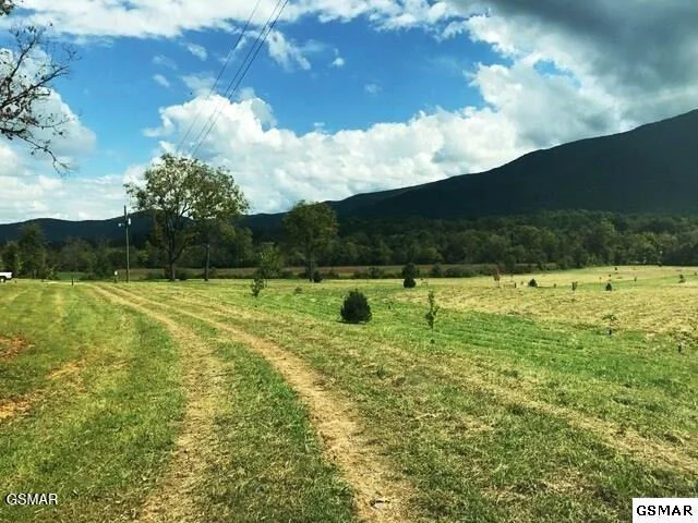 Photo of 3557 Wears Valley Road