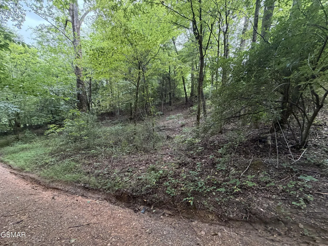 Photo of Lot 1-5 Forge Hideaway Road