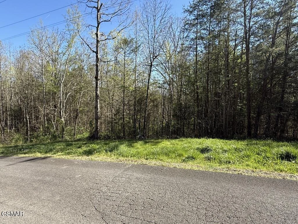 Photo of 1433 Timber Trail
