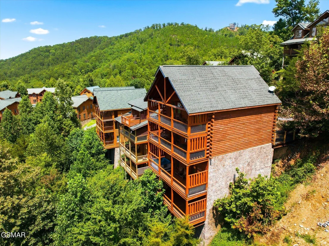 Photo of 914 Black Bear Cub Way