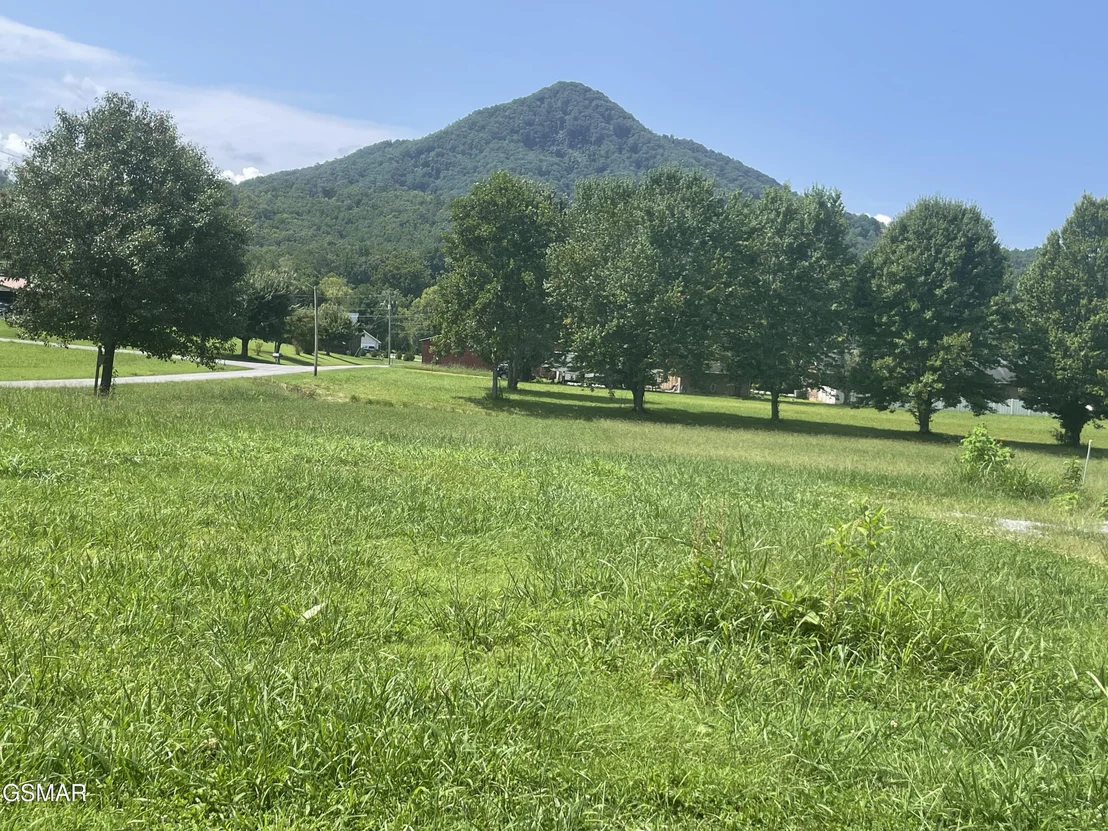 Photo of 3925 Katy Hollar Road