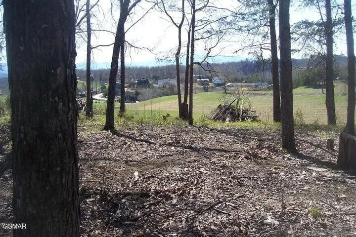 Photo of Lot 4 Flat Creek Rd