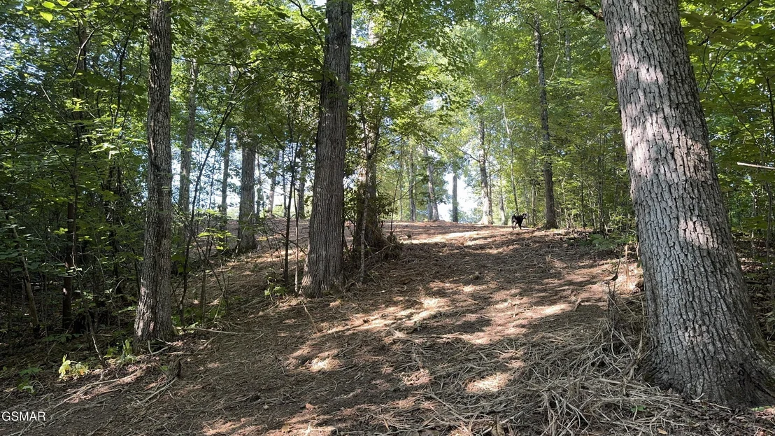 Photo of Lot 13 Rupert Drive