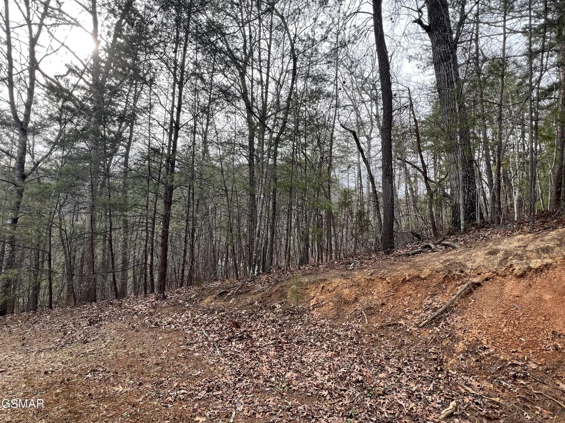 Photo of 1554 Bear Valley Road