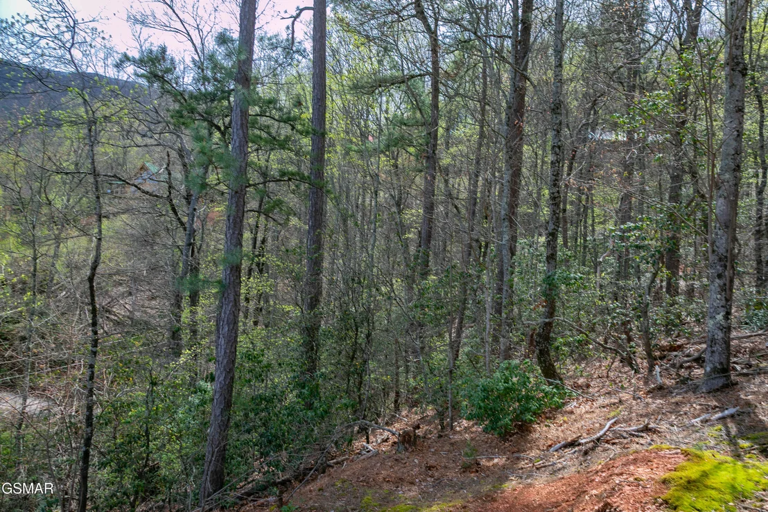 Photo of 3059 Perry Circle & Lot 11 Lane
