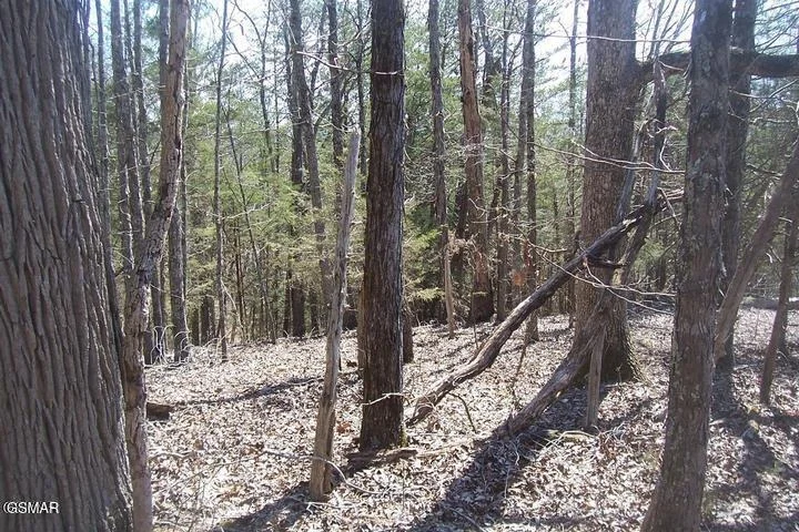 Photo of Lot 4 Flat Creek Rd